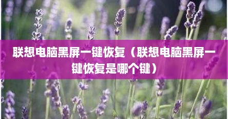 联想电脑黑屏一键恢复（联想电脑黑屏一键恢复是哪个键）