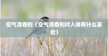 空气清香剂（空气清香剂对人体有什么害处）