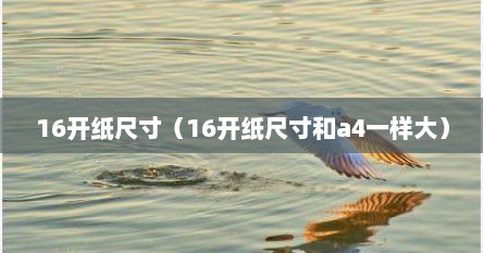 16开纸尺寸（16开纸尺寸和a4一样大）