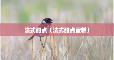 法式甜点（法式甜点蛋糕）