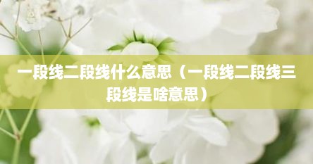 一段线二段线什么意思（一段线二段线三段线是啥意思）