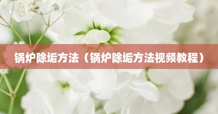 锅炉除垢方法（锅炉除垢方法视频教程）