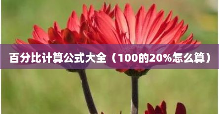 百分比计算公式大全（100的20%怎么算）