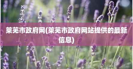 莱芜市政府网(莱芜市政府网站提供的最新信息)