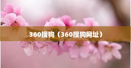 360搜狗（360搜狗网址）