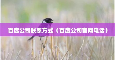 百度公司联系方式（百度公司官网电话）