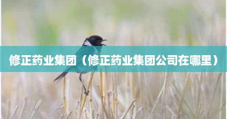 修正药业集团（修正药业集团公司在哪里）