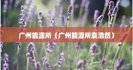 广州能源所（广州能源所袁浩然）