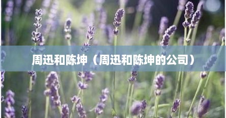 周迅和陈坤（周迅和陈坤的公司）