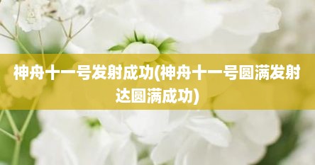 神舟十一号发射成功(神舟十一号圆满发射达圆满成功)