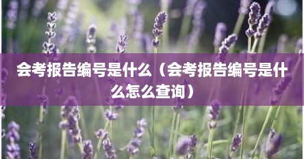 会考报告编号是什么（会考报告编号是什么怎么查询）