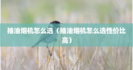 抽油烟机怎么选（抽油烟机怎么选性价比高）