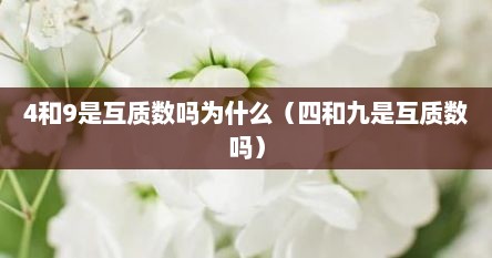 4和9是互质数吗为什么（四和九是互质数吗）