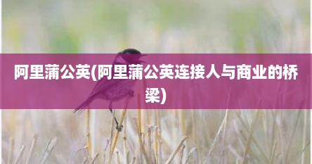 阿里蒲公英(阿里蒲公英连接人与商业的桥梁)