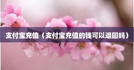 支付宝充值（支付宝充值的钱可以退回吗）