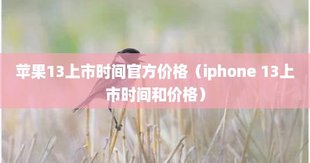 苹果13上市时间官方价格（iphone 13上市时间和价格）