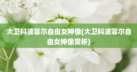 大卫科波菲尔自由女神像(大卫科波菲尔自由女神像赏析)