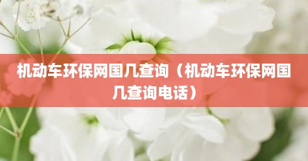 机动车环保网国几查询（机动车环保网国几查询电话）