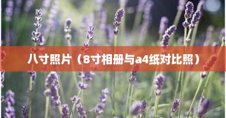 八寸照片（8寸相册与a4纸对比照）