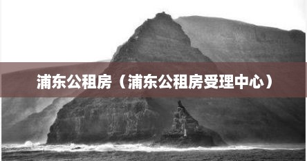 浦东公租房（浦东公租房受理中心）