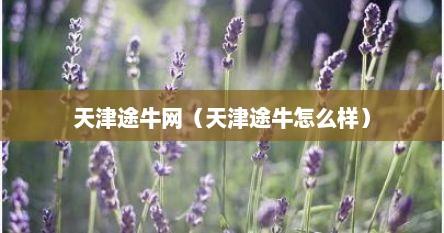 天津途牛网（天津途牛怎么样）