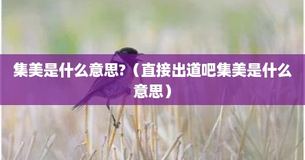 集美是什么意思?（直接出道吧集美是什么意思）