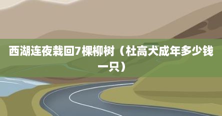 西湖连夜栽回7棵柳树（杜高犬成年多少钱一只）