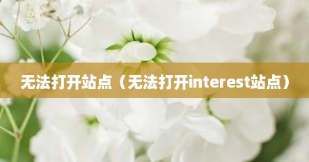 无法打开站点（无法打开interest站点）