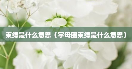 束缚是什么意思（字母圈束缚是什么意思）