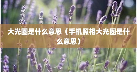 大光圈是什么意思（手机照相大光圈是什么意思）