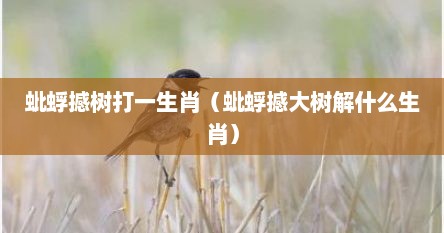 蚍蜉撼树打一生肖（蚍蜉撼大树解什么生肖）