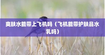 爽肤水能带上飞机吗（飞机能带护肤品水乳吗）