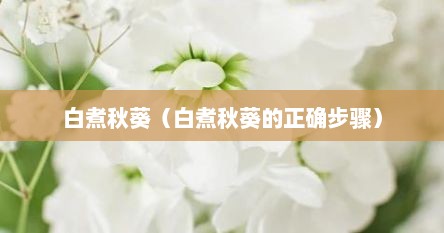 白煮秋葵（白煮秋葵的正确步骤）