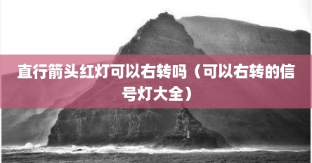 直行箭头红灯可以右转吗（可以右转的信号灯大全）