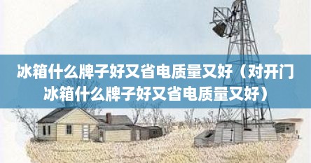 冰箱什么牌子好又省电质量又好（对开门冰箱什么牌子好又省电质量又好）