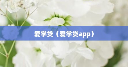 爱学贷（爱学贷app）