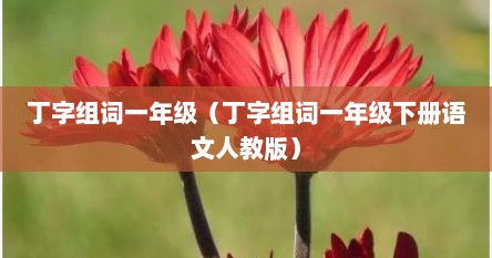 丁字组词一年级（丁字组词一年级下册语文人教版）