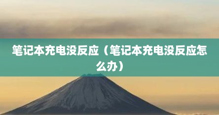 笔记本充电没反应（笔记本充电没反应怎么办）