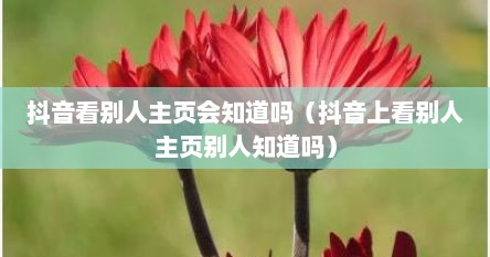 抖音看别人主页会知道吗（抖音上看别人主页别人知道吗）