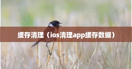 缓存清理（ios清理app缓存数据）