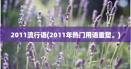 2011流行语(2011年热门用语重塑。)