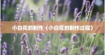 小白花的制作（小白花的制作过程）