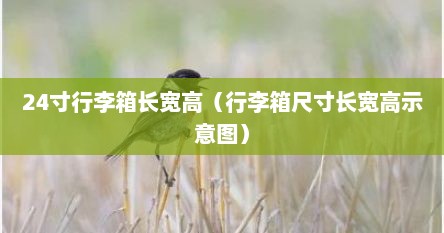 24寸行李箱长宽高（行李箱尺寸长宽高示意图）