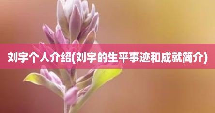 刘宇个人介绍(刘宇的生平事迹和成就简介)