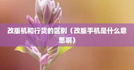 改版机和行货的区别（改版手机是什么意思啊）