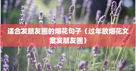 适合发朋友圈的烟花句子（过年放烟花文案发朋友圈）