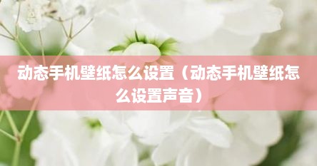 动态手机壁纸怎么设置（动态手机壁纸怎么设置声音）