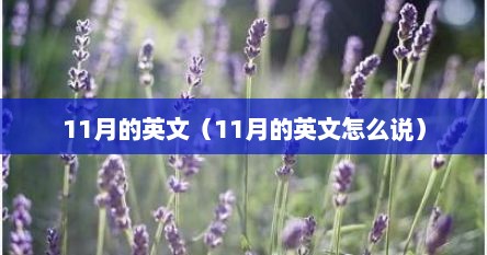 11月的英文（11月的英文怎么说）