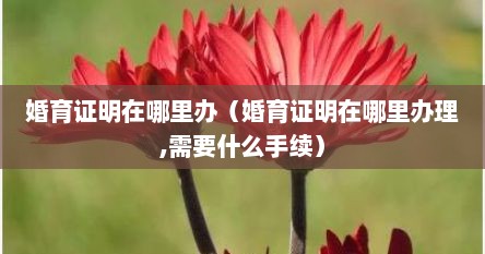 婚育证明在哪里办（婚育证明在哪里办理,需要什么手续）