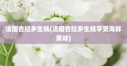 法国吉拉多生蚝(法国吉拉多生蚝享受海鲜美味)